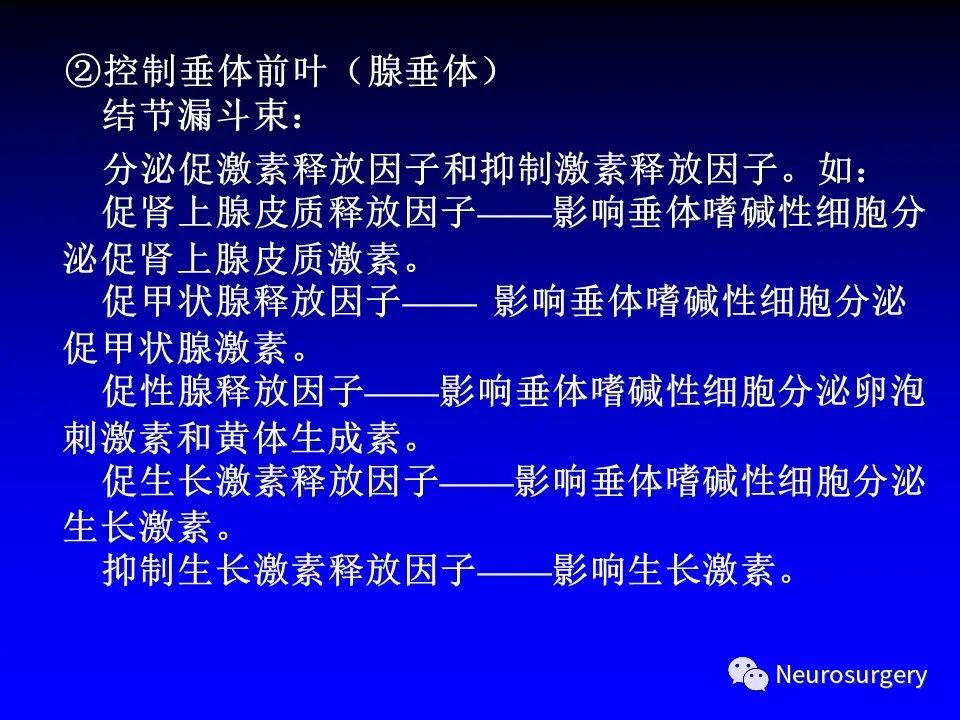 影像PPT - 【PPT】中枢神经系统 间脑-60