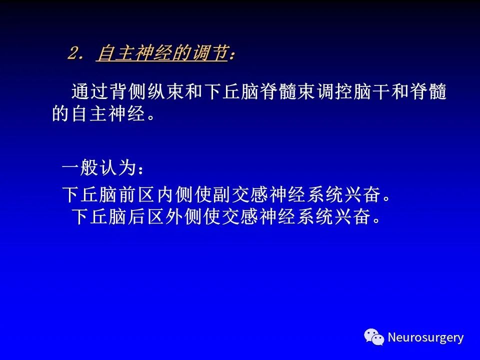 影像PPT - 【PPT】中枢神经系统 间脑-62