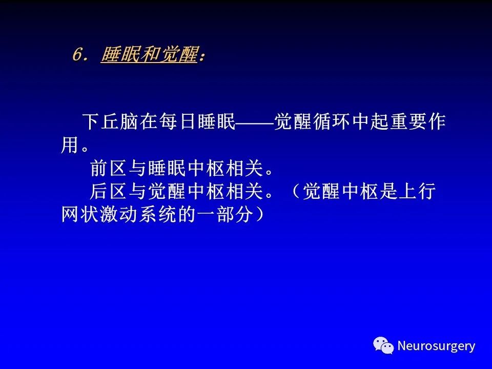 影像PPT - 【PPT】中枢神经系统 间脑-67