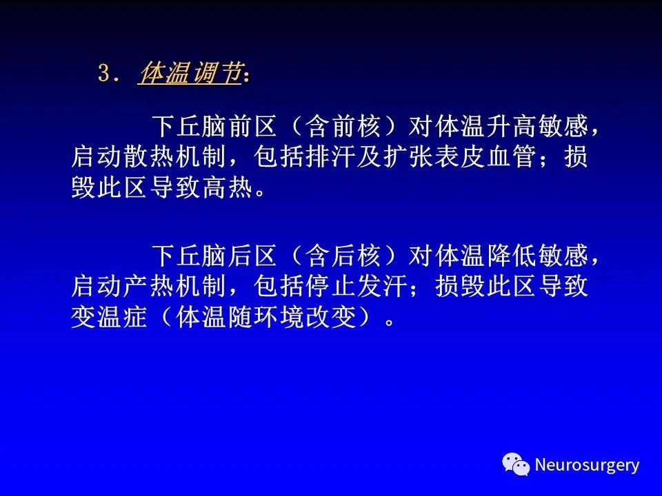 影像PPT - 【PPT】中枢神经系统 间脑-63