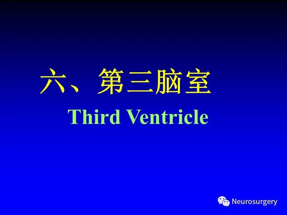 影像PPT - 【PPT】中枢神经系统 间脑-69