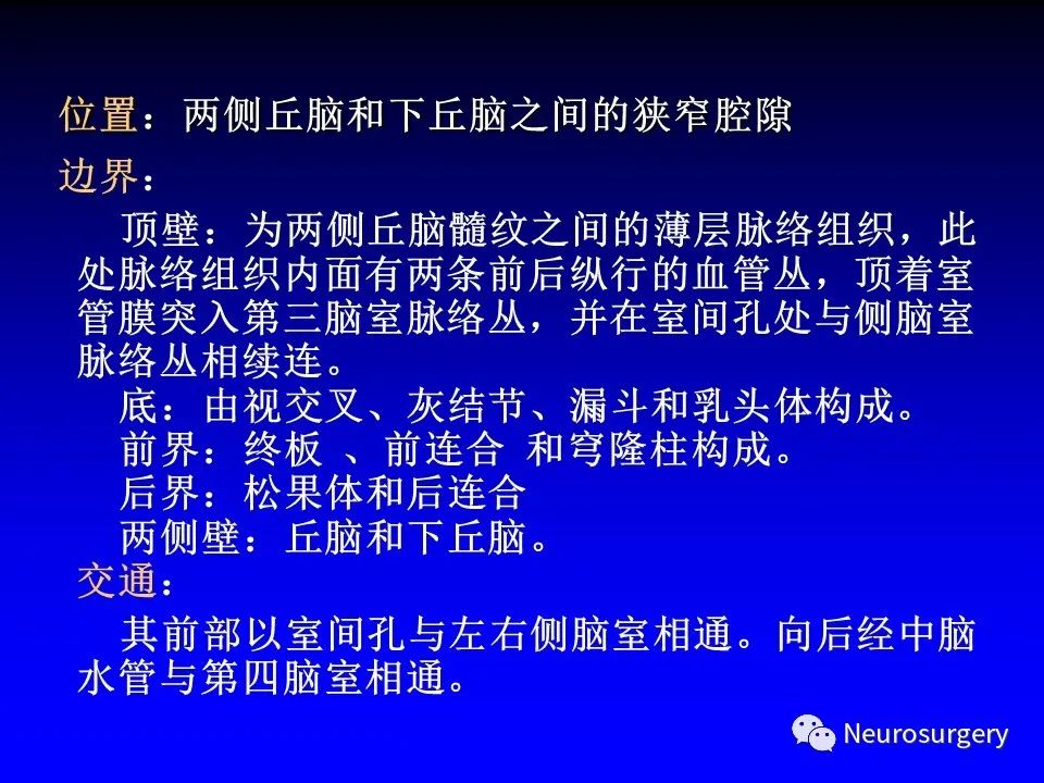 影像PPT - 【PPT】中枢神经系统 间脑-71