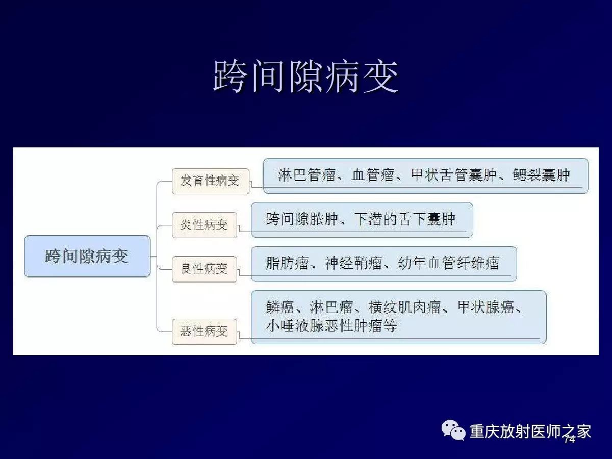 影像PPT - 【PPT】颈部病变的诊断思路-74