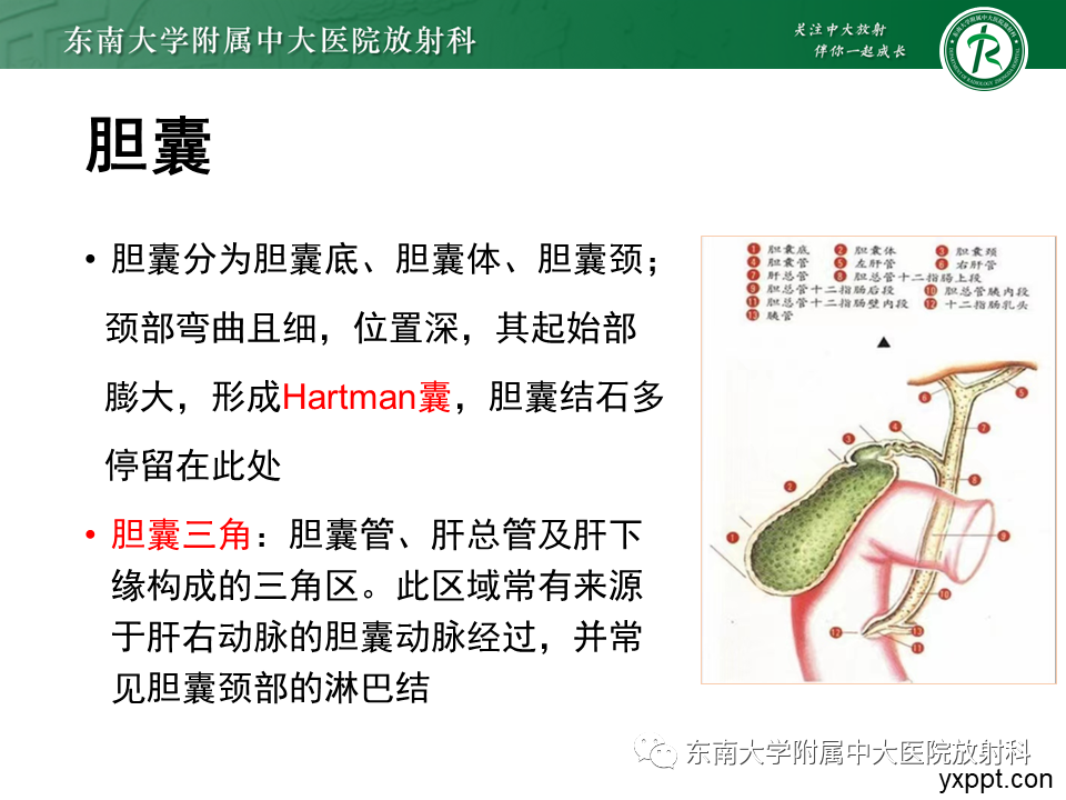 影像PPT - 【PPT】胆囊癌-13 影像PPT - 【PPT】胆囊癌-13