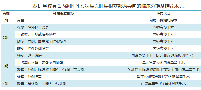影像PPT - 鼻腔鼻窦肿瘤和肿瘤样病变的影像学分析思路-1 影像PPT - 鼻腔鼻窦肿瘤和肿瘤样病变的影像学分析思路-1
