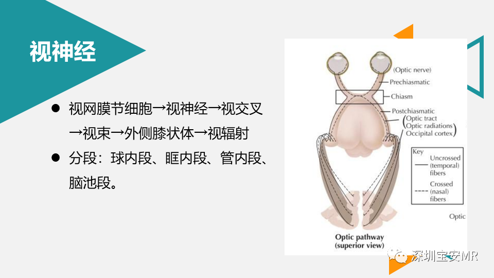 影像PPT - 【PPT】脑神经影像学与相关病变-11
