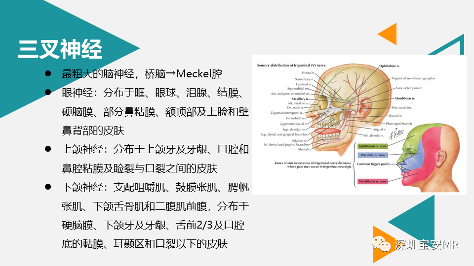 影像PPT - 【PPT】脑神经影像学与相关病变-28