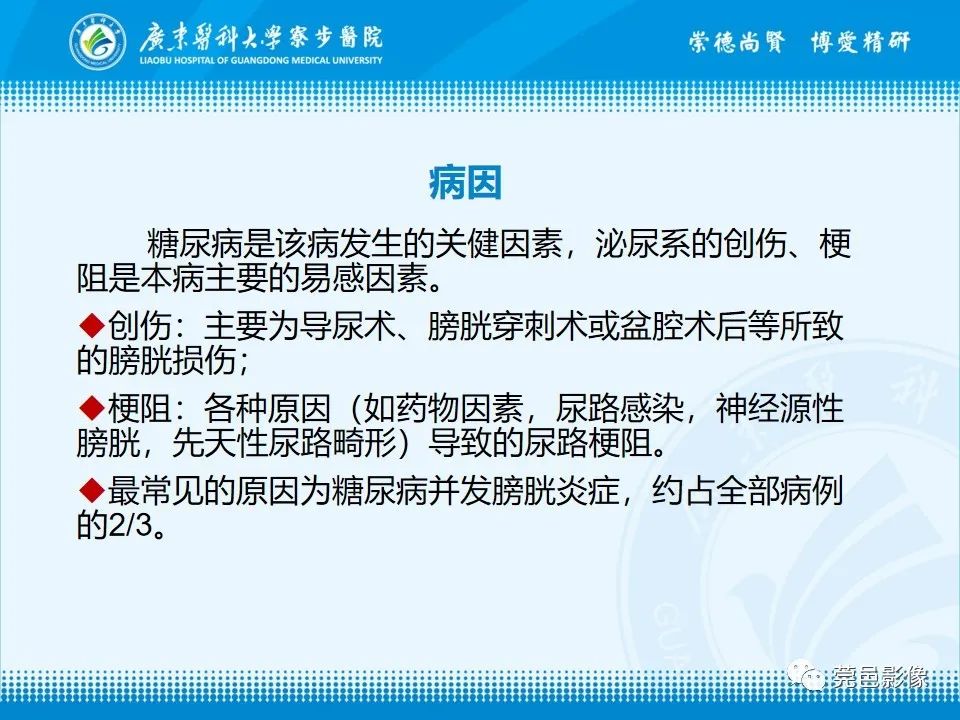 影像PPT - 【PPT】气肿性膀胱炎CT表现-9