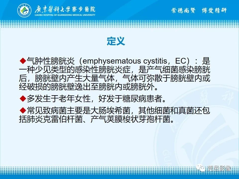影像PPT - 【PPT】气肿性膀胱炎CT表现-8