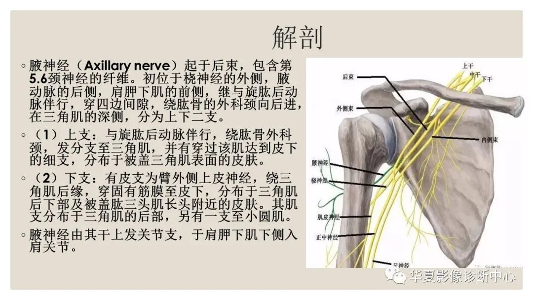 影像PPT - 【PPT】四边孔综合征-4