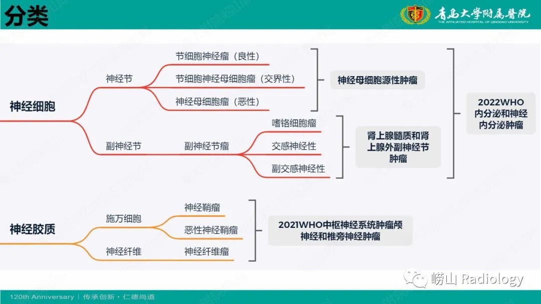 影像PPT - 【病例】纵隔节细胞神经母细胞瘤1例CT及MR-18
