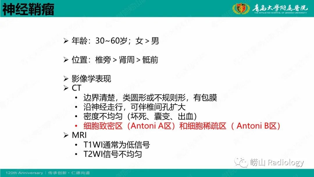 影像PPT - 【病例】纵隔节细胞神经母细胞瘤1例CT及MR-28