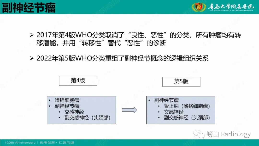 影像PPT - 【病例】纵隔节细胞神经母细胞瘤1例CT及MR-25