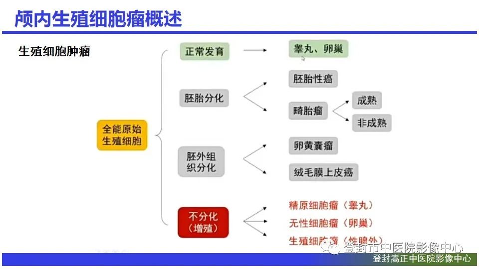 影像PPT - 【PPT】颅内生殖细胞瘤的影像学诊断-5