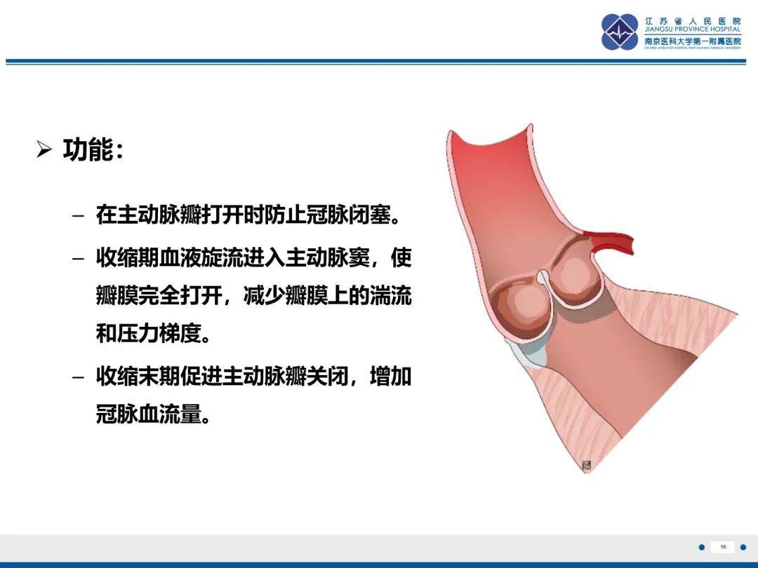 影像PPT - 【PPT】主动脉窦瘤-19