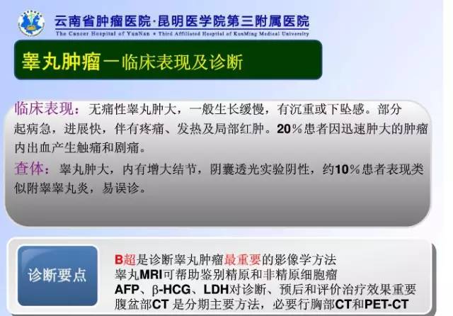 影像PPT - 【病例】睾丸淋巴瘤1例CT及MR影像-17 影像PPT - 【病例】睾丸淋巴瘤1例CT及MR影像-17
