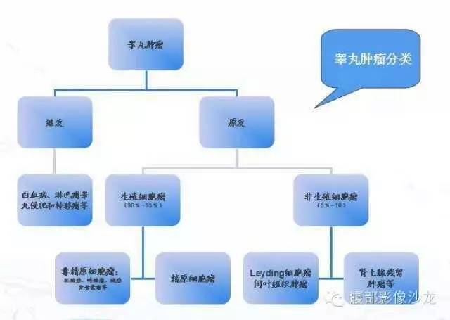 影像PPT - 【病例】睾丸淋巴瘤1例CT及MR影像-18 影像PPT - 【病例】睾丸淋巴瘤1例CT及MR影像-18
