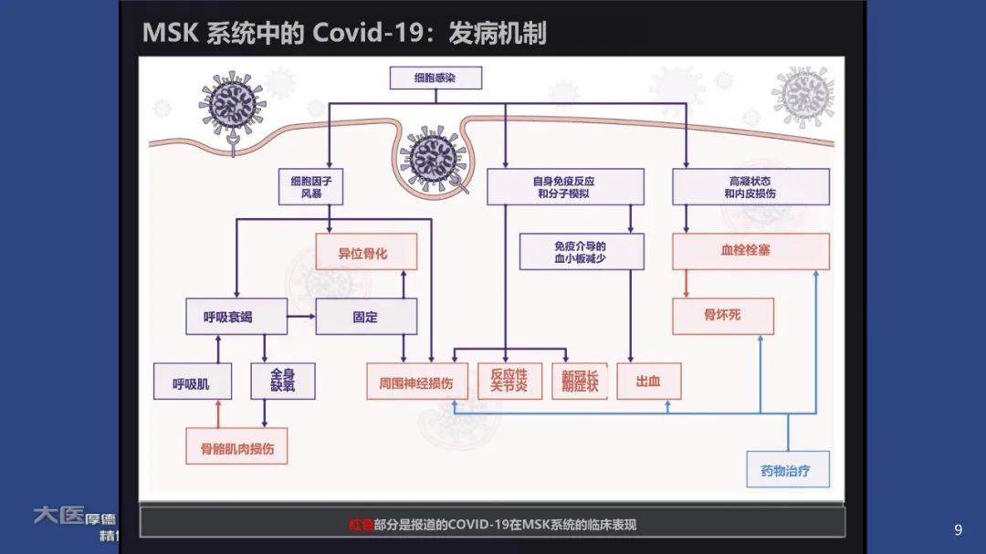影像PPT - 【PPT】COVID-19 的肌肉骨骼表现：对目前所描述的多模态成像及临床症状的图片综述​-9