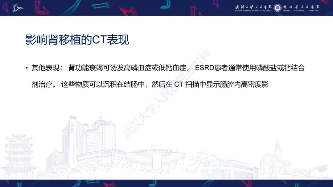 影像PPT - 【PPT】肾移植受者术前CT评估-24