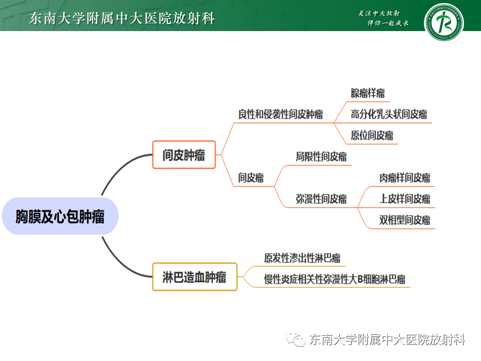 影像PPT - 【PPT】胸部孤立性纤维性肿瘤-9 影像PPT - 【PPT】胸部孤立性纤维性肿瘤-9