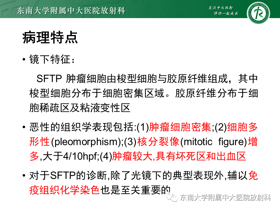 影像PPT - 【PPT】胸部孤立性纤维性肿瘤-13 影像PPT - 【PPT】胸部孤立性纤维性肿瘤-13