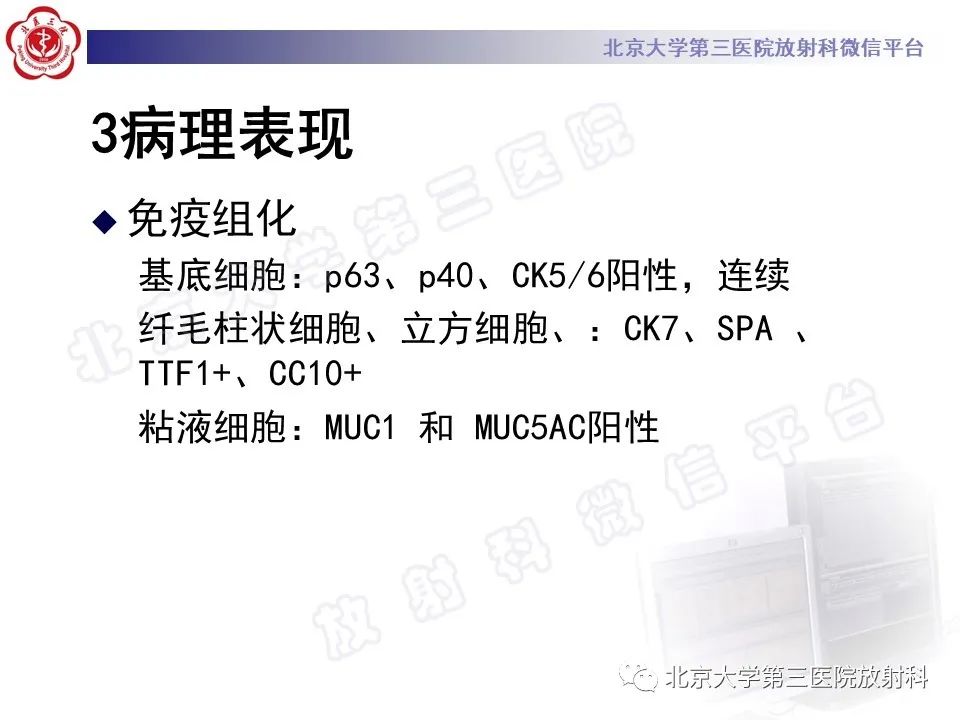 影像PPT - 【PPT】细支气管腺瘤-21