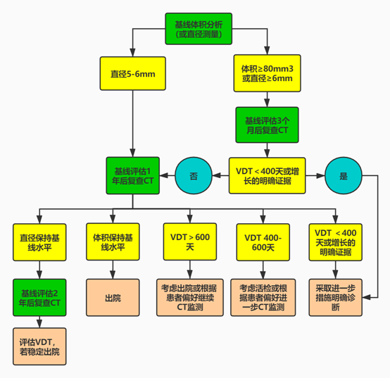 影像PPT - 肺结节的评估手段及全程管理-10 影像PPT - 肺结节的评估手段及全程管理-10