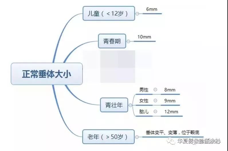 影像PPT - 垂体正常表现及垂体瘤影像诊断-8 影像PPT - 垂体正常表现及垂体瘤影像诊断-8