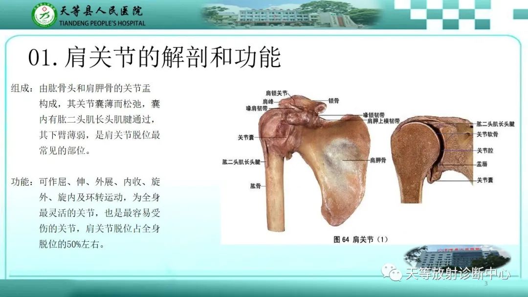影像PPT - 【PPT】肩关节MRI扫描技术-3