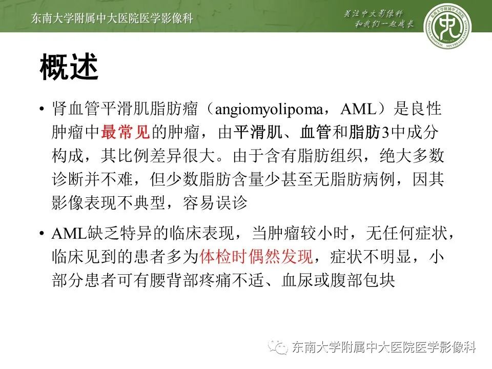 影像PPT - 【病例】肾脏血管平滑肌脂肪瘤1例CT影像-9