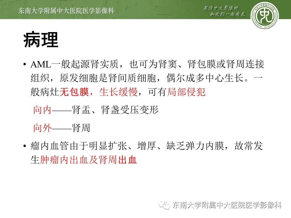 影像PPT - 【病例】肾脏血管平滑肌脂肪瘤1例CT影像-10