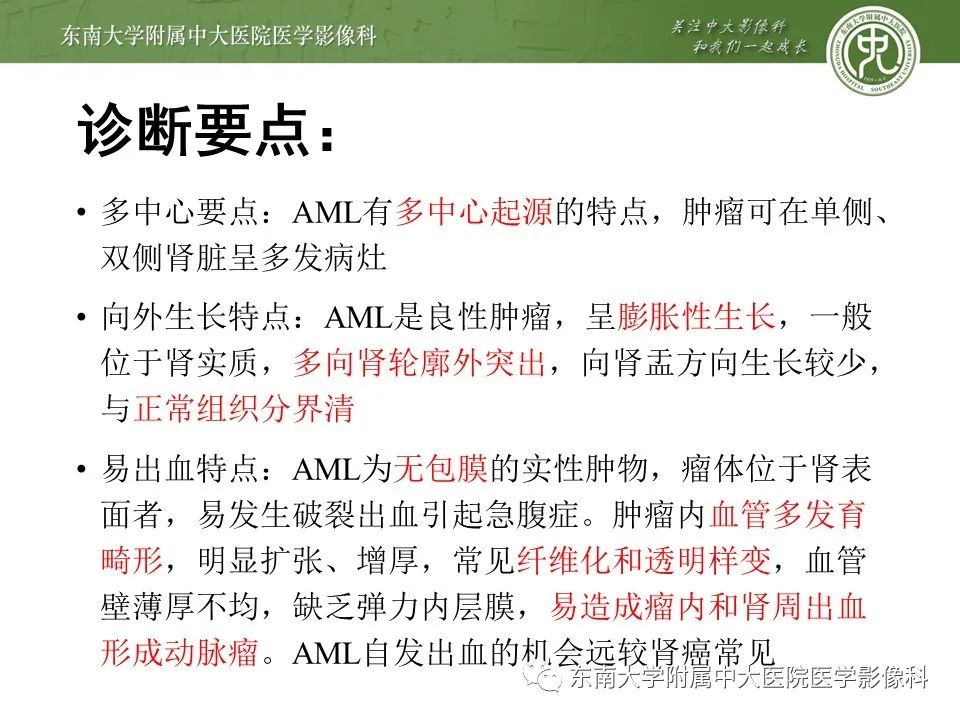影像PPT - 【病例】肾脏血管平滑肌脂肪瘤1例CT影像-24