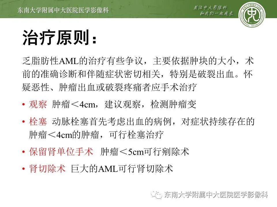 影像PPT - 【病例】肾脏血管平滑肌脂肪瘤1例CT影像-25