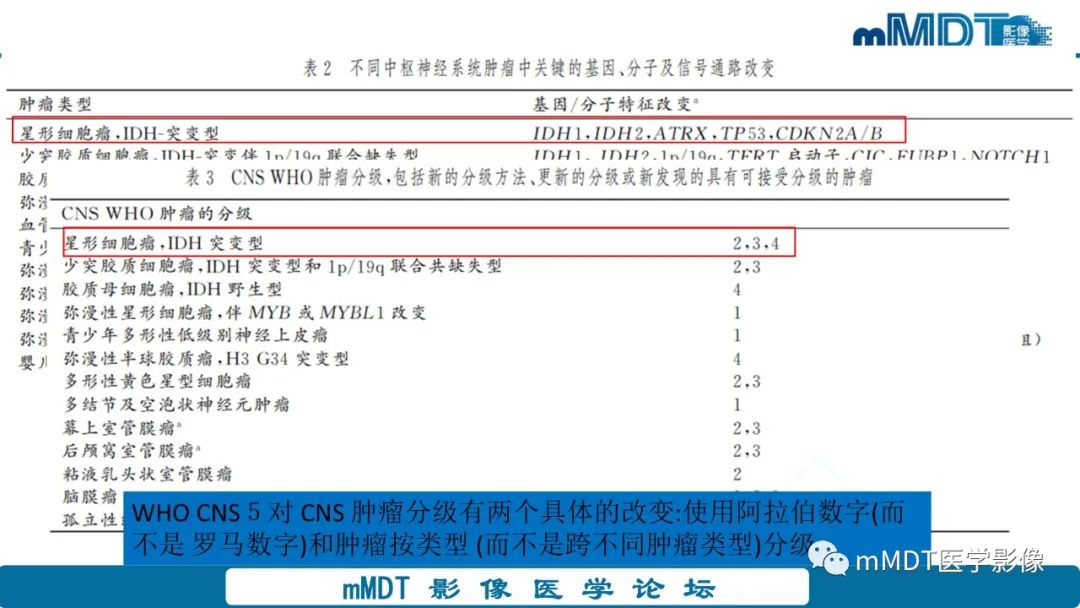 影像PPT - 【PPT】星形细胞瘤的新认识-10