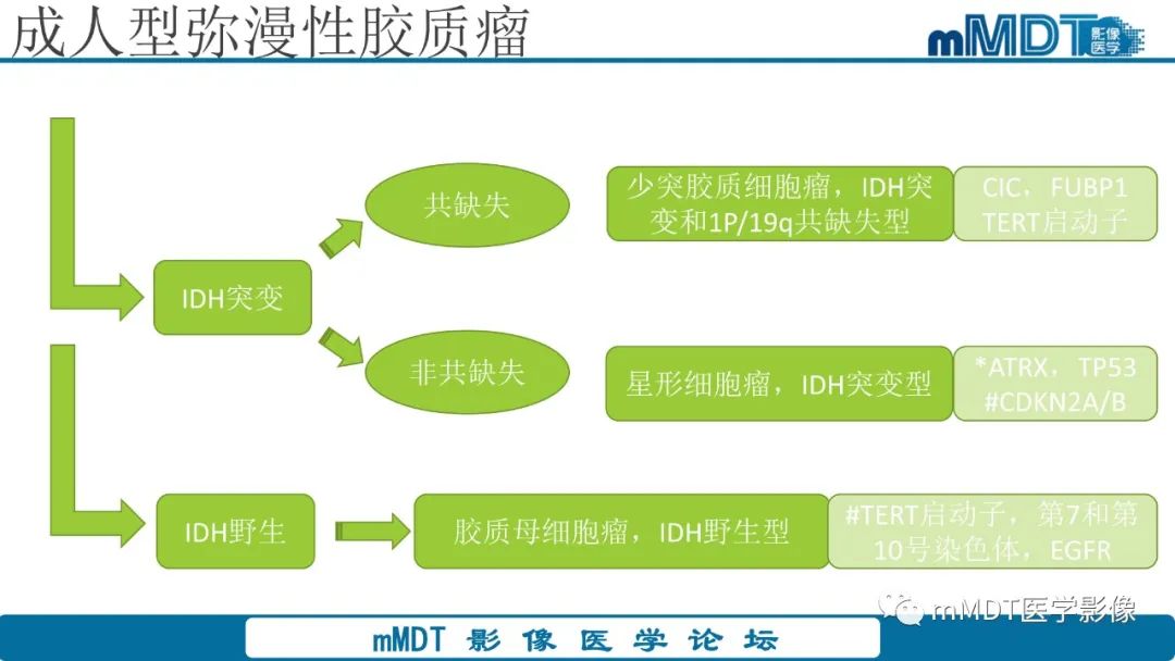 影像PPT - 【PPT】星形细胞瘤的新认识-18