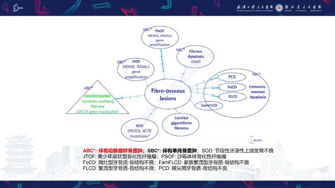 影像PPT - 【PPT】颌面部骨化性纤维瘤影像诊断-8