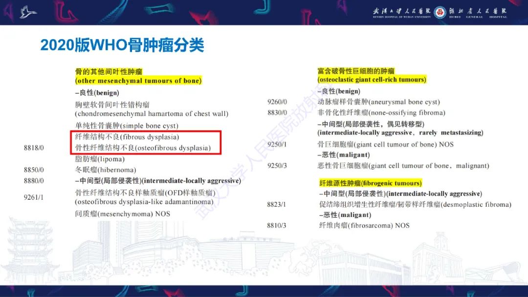 影像PPT - 【PPT】颌面部骨化性纤维瘤影像诊断-9