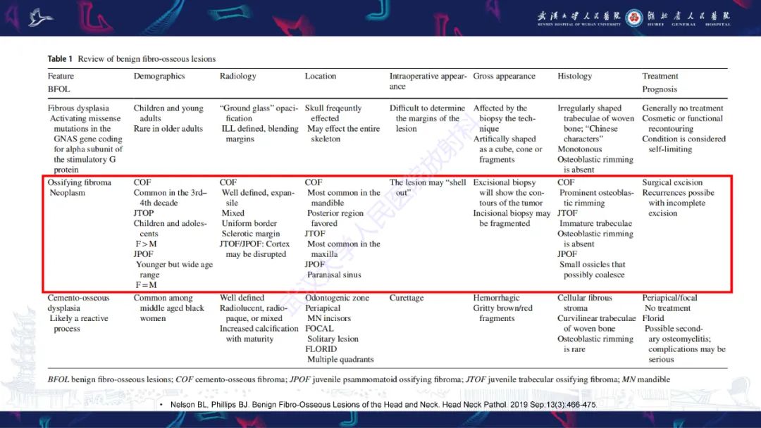 影像PPT - 【PPT】颌面部骨化性纤维瘤影像诊断-31