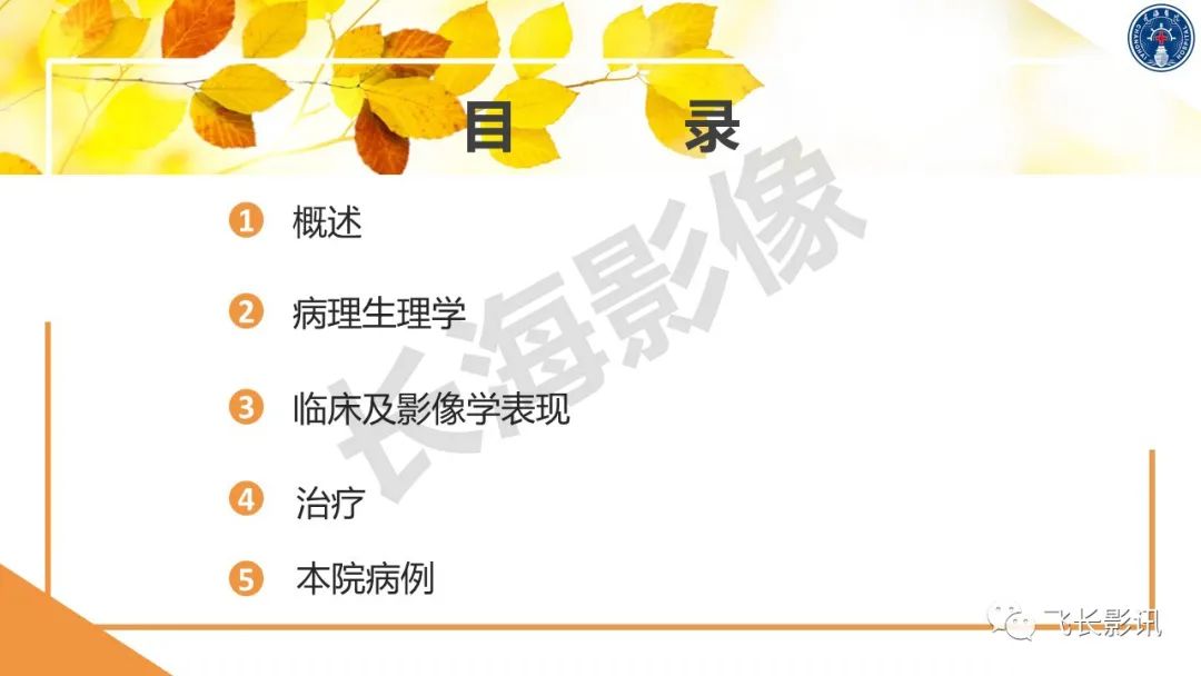 影像PPT - 【PPT】原发性肾淋巴瘤的影像诊断-2