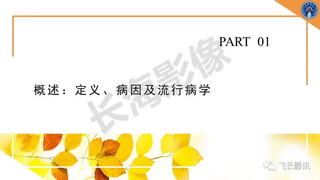 影像PPT - 【PPT】原发性肾淋巴瘤的影像诊断-3