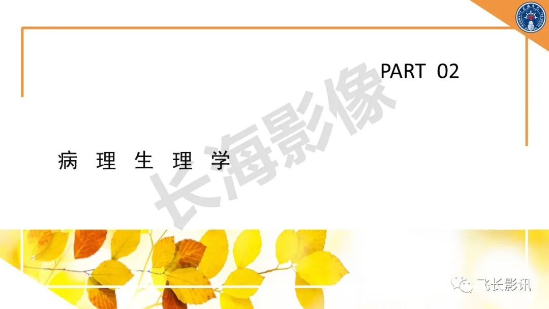 影像PPT - 【PPT】原发性肾淋巴瘤的影像诊断-6