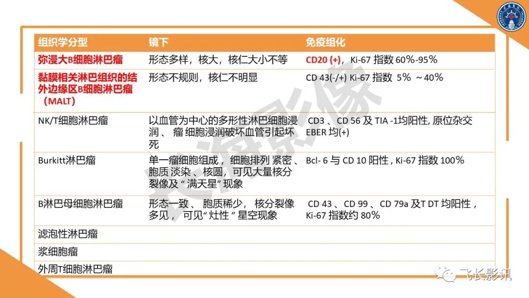 影像PPT - 【PPT】原发性肾淋巴瘤的影像诊断-9