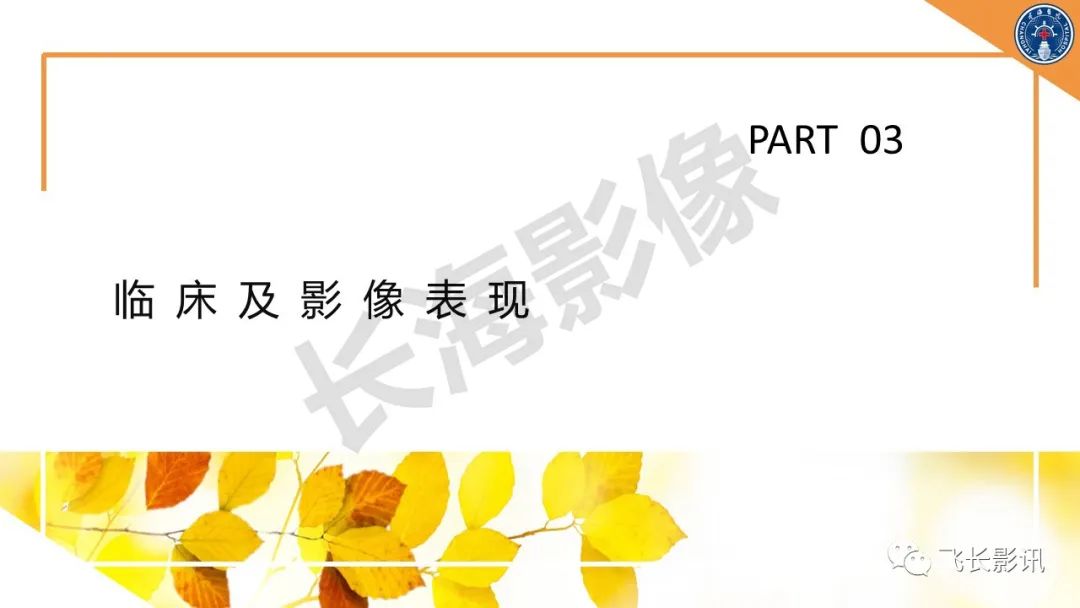 影像PPT - 【PPT】原发性肾淋巴瘤的影像诊断-11