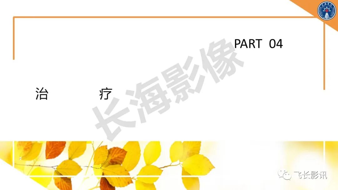影像PPT - 【PPT】原发性肾淋巴瘤的影像诊断-27