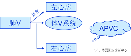 影像PPT - 弯刀综合征-7