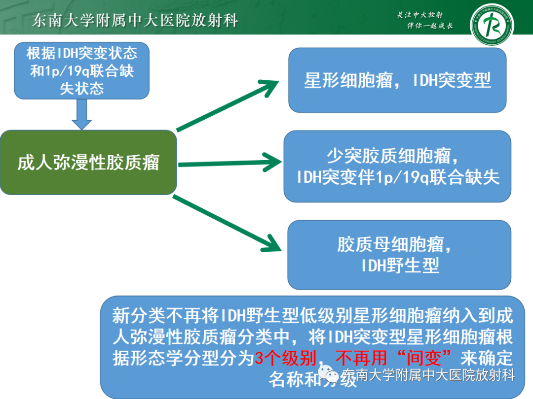 影像PPT - 【PPT】胶质母细胞瘤-10