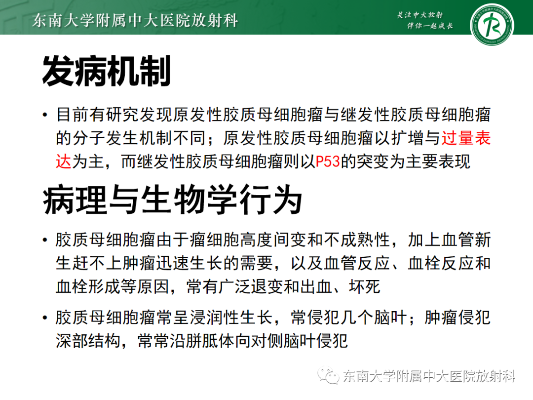 影像PPT - 【PPT】胶质母细胞瘤-13