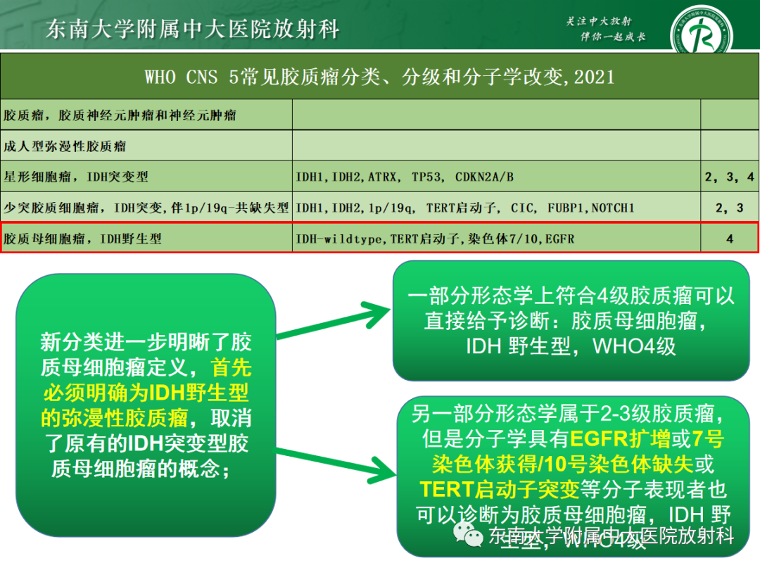影像PPT - 【PPT】胶质母细胞瘤-12