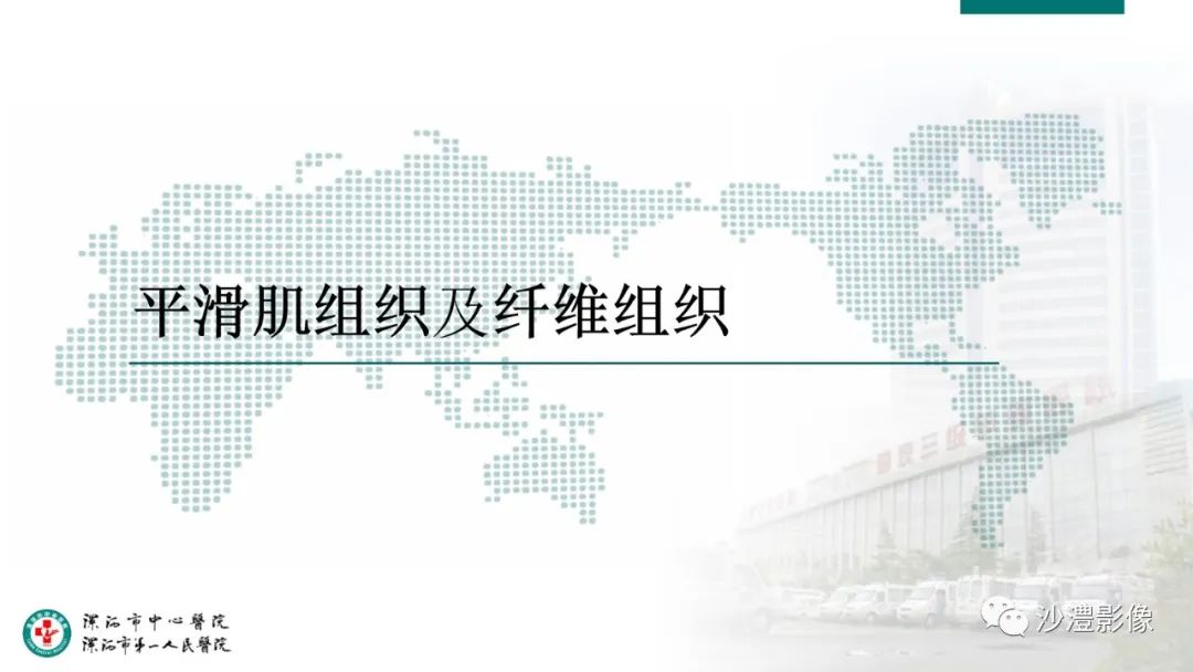 影像PPT - 【PPT】卵巢T2WI低信号病变分析-27 影像PPT - 【PPT】卵巢T2WI低信号病变分析-27
