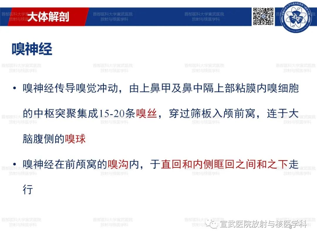 影像PPT - 【PPT】12对颅神经磁共振影像解剖-3